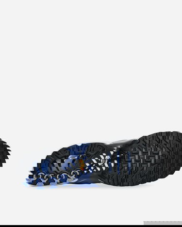 Superge in čevlji Nike Air Max Plus Royal Pulse Modra | DM0032-403, 5