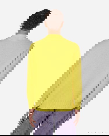 Pleteni pulover CORMIO Emilio Sweater Rumena | COREMILIOSWEATER LIMONCELLO, 3