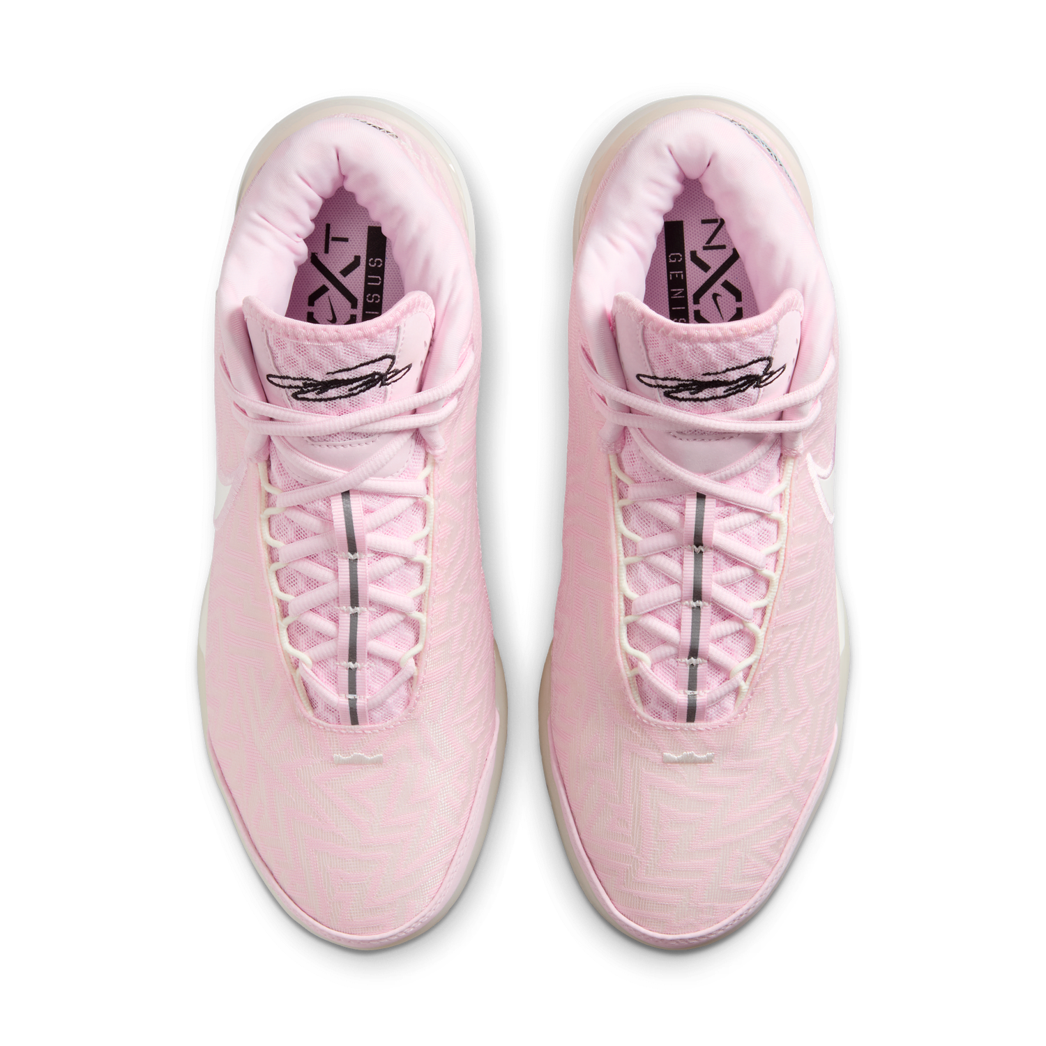 Superge in čevlji Nike LeBron NXXT Genisus Roza | HF0712-602, 1