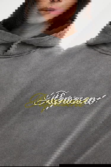 Pulover Represent Clo Represent Script Logo Hoodie Siva | MLM100028, 3