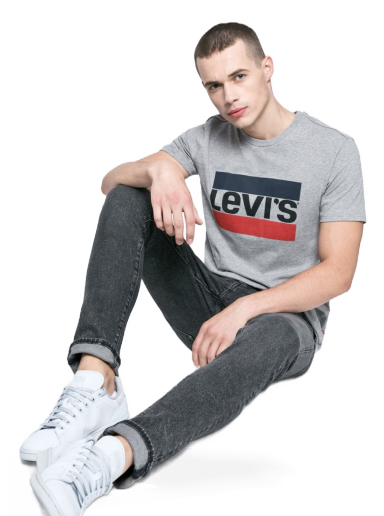 Majica Levi's Mainline Graphic Tee Siva | 39636.0002