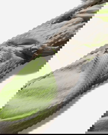 Jakna Post Archive Faction (PAF) 7.0 Multi Pocket Sporty Jacket Zelena | 7.0OJL WG, 4