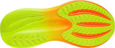Superge in čevlji Saucony Triumph 23 Siva | s21023-99, 4