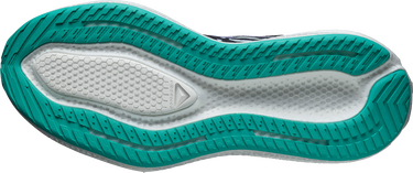 Superge in čevlji Salomon AERO GLIDE 3 PROTO PACK Večbarvna | l47759900, 3