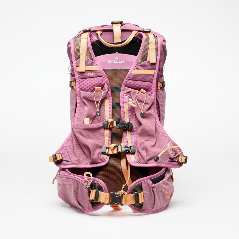 Nahrbtnik Osprey Velocity 20 Backpack Lila | 10043048OSP.01.WML