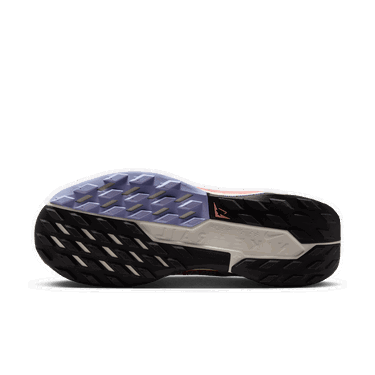 Superge in čevlji Nike Pegasus Trail 5 GORE-TEX Roza | FQ0912-602, 3