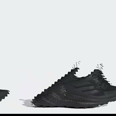 Superge in čevlji adidas Performance Terrex Free Hiker 2.0 Low Gore-Tex Črna | IH0672, 0