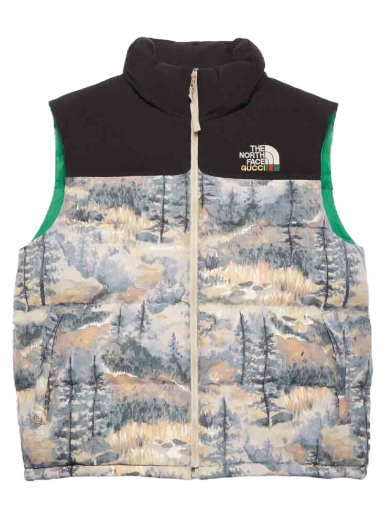 Telovnik Gucci The North Face x Down Vest Zelena | 663762XAADS3471