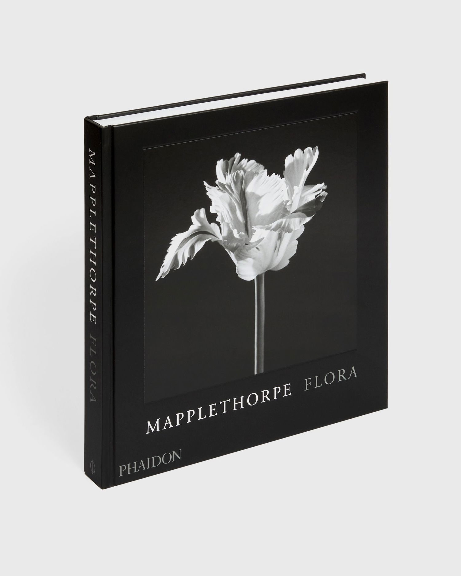 Oblačila in dodatki Phaidon Robert Mapplethorpe Črna | 9781838668211, 0