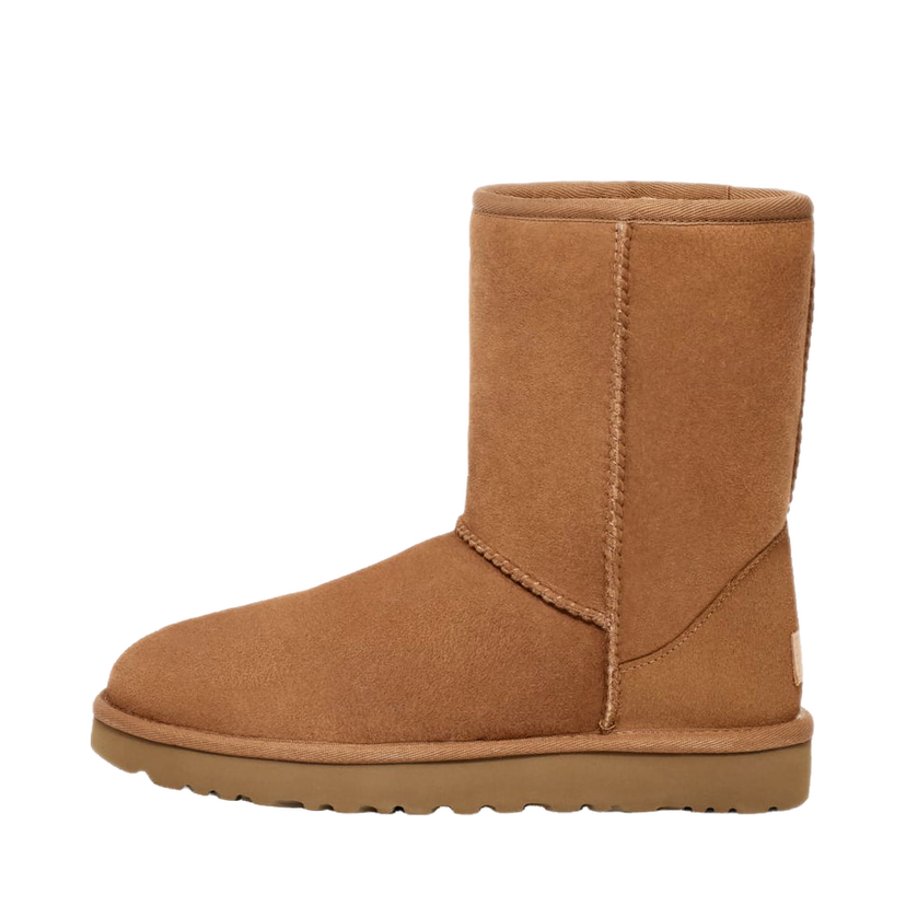 Superge in čevlji UGG Classic Chestnut Rjava | 5800-CHE