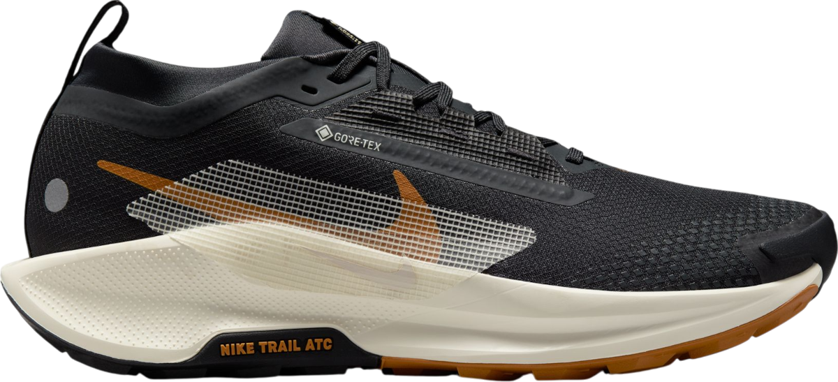 Superge in čevlji Nike Pegasus Trail 5 GORE-TEX Črna | fq0908-007, 0