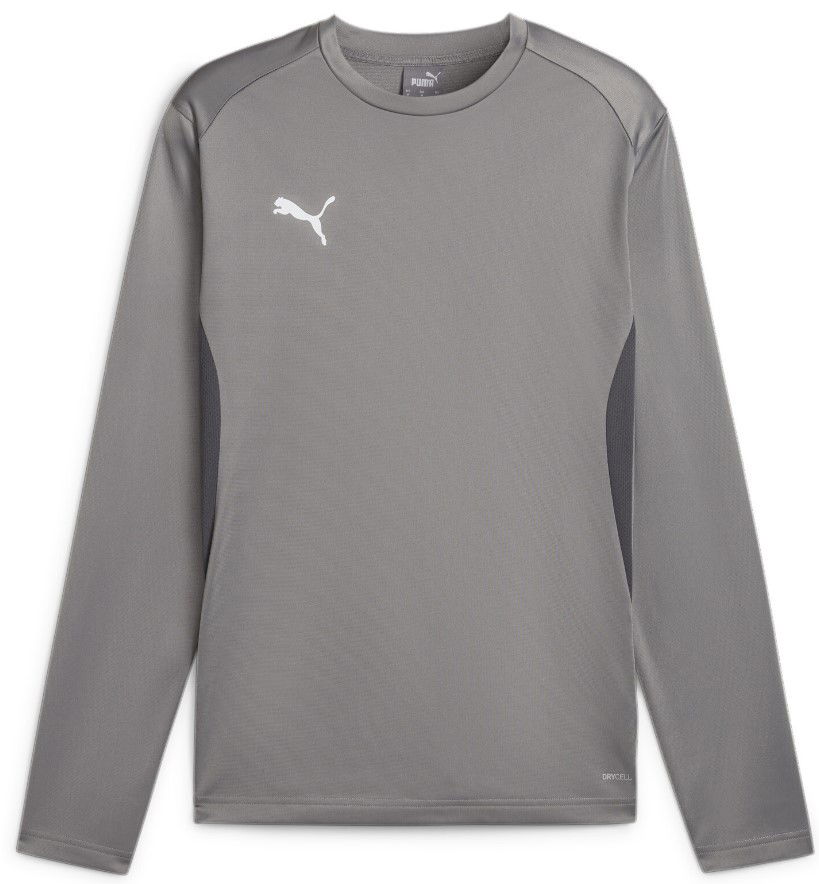 Pulover Puma teamGOAL Training Sweatshirt Siva | 658649-13