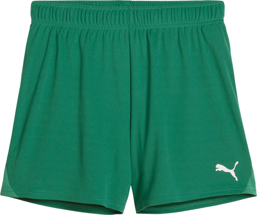 Kratke hlače Puma Puma teamGOAL Handball Shorts Zelena | 706019-05