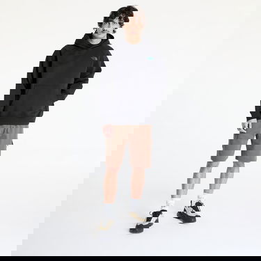 Pulover The North Face The North Face Raglan Box NSE Tailgrid Infill Hoodie Črna | NF0A8C4X9431, 4