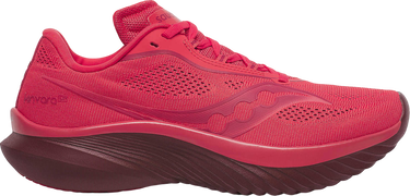 Superge in čevlji Saucony KINVARA 15 Rdeča | s10967-216, 0