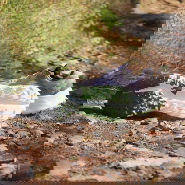 Superge in čevlji adidas Performance adidas TERREX Boty Terrex Soulstride Flow Trail Running Siva | ID7719, 4