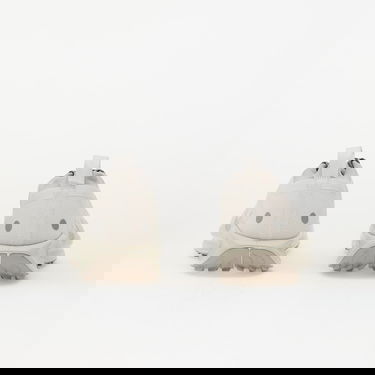 Superge in čevlji Nike Pegasus Trail 5 Gore-Tex Bež | HQ7494-100, 4