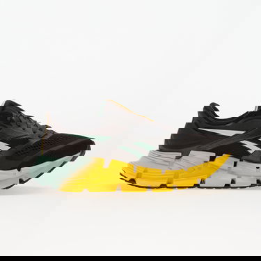 Superge in čevlji Reebok Floatzig 2 Večbarvna | 100225501, 2
