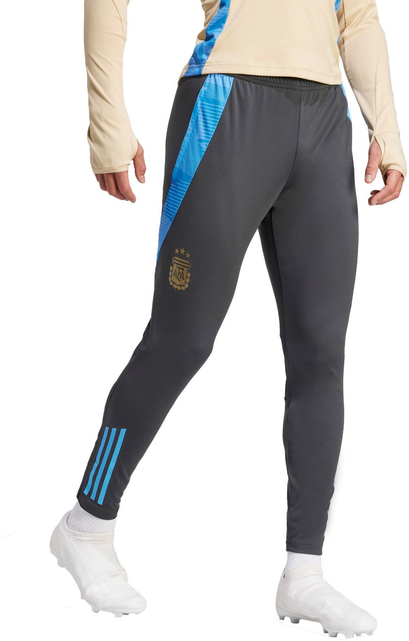 Hlače adidas Originals AFA TR PNT 2024 Siva | iq0824