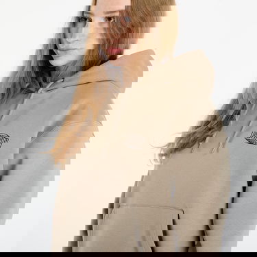 Pulover Horsefeathers Zave Hoodie Bež | SW952A, 3