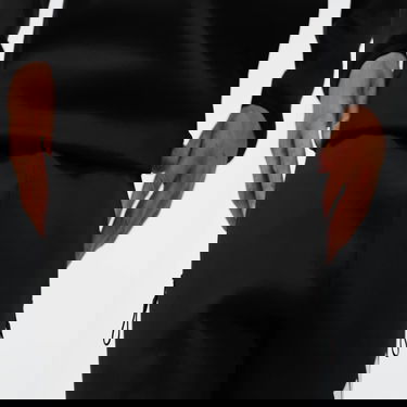 Trenirka adidas Performance Z.N.E. Training Pants Črna | JD5983, 2