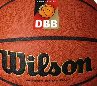 Športna oprema Wilson Tennis DBB EVOLUTION INDOOR GAME BALL Oranžna | wz1012801xb, 2