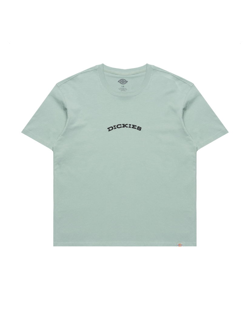 Majica Dickies Dickies Outdoor T-Shirt Zelena | DK0A4Z8PK361