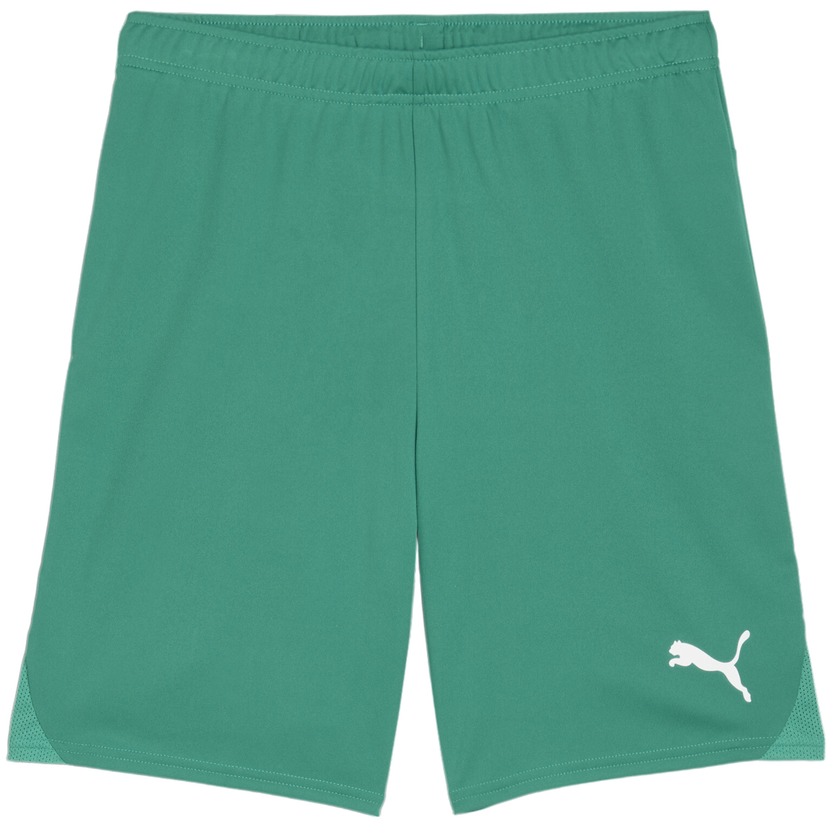 Kratke hlače Puma teamGOAL Shorts Zelena | 705752-05