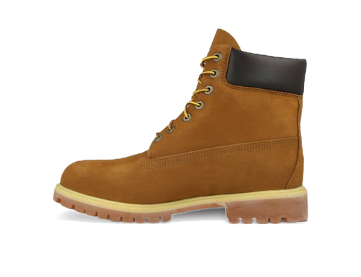 Superge in čevlji Timberland Classic Premium 6" Rjava | 72066