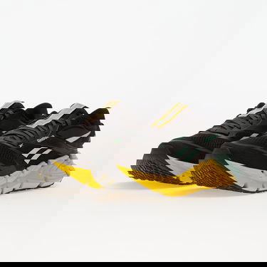 Superge in čevlji Reebok Floatzig 2 Večbarvna | 100225501, 5