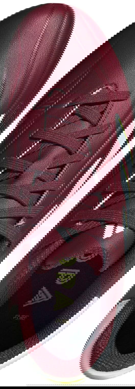 Superge in čevlji adidas Performance Copa Pure II League FG Bordo | IE7494, 1