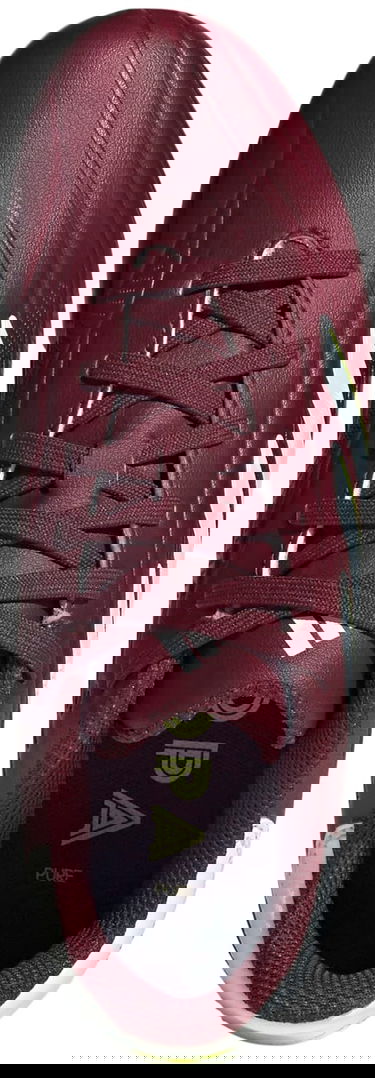 Superge in čevlji adidas Performance Copa Pure II League FG Bordo | IE7494, 1