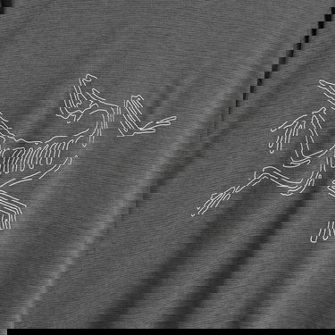 Majica Arcteryx Cormac Logo Long Sleeve T-Shirt, Size X-Large Siva | X000008452-021579, 3