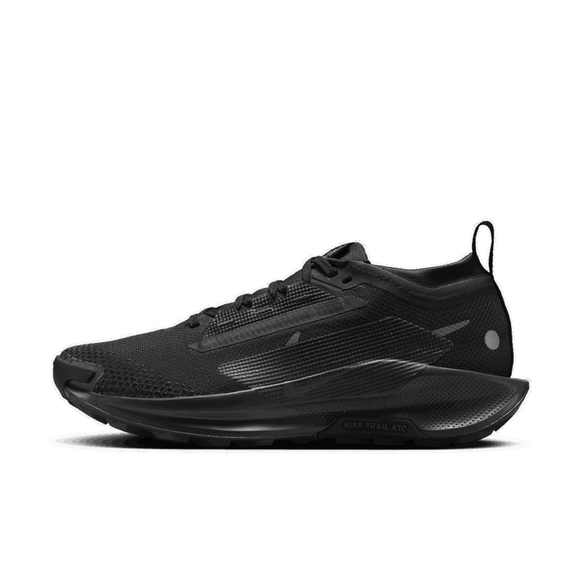 Tek Nike Pegasus Trail 5 GORE-TEX Črna | FQ0912-002