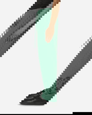 Trenirka Jordan X Nina Chanel Abney PANTS Zelena | FZ7518-398, 3