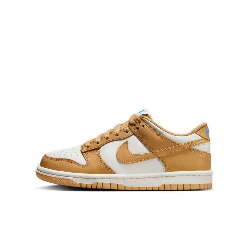 Superge in čevlji Nike Dunk Low Rjava | FB9109-700