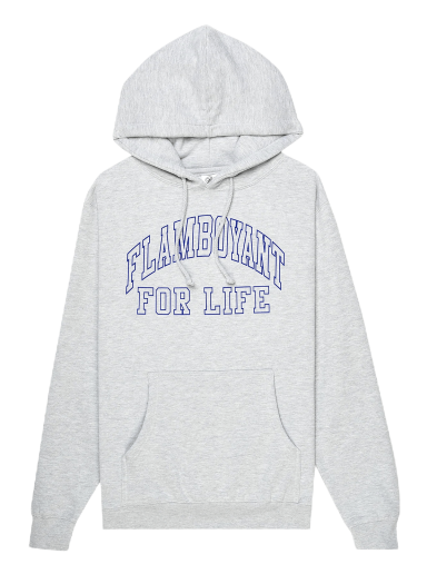Pulover Pleasures Flamboyant Hoodie Siva | P22F067 GREY
