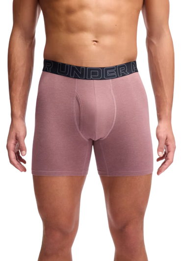 Boksarice Under Armour Under Armour SOLID 6in 3 Pack Boxer Shorts Večbarvna | 1383889-651, 3