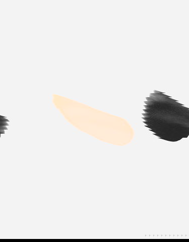 Modni dodatki Dolce & Gabbana Dolce & Gabbana Everlast Concealer - Neutral Undertones Rjava | MKUPFCE0037V0029, 2