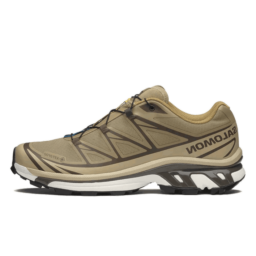 Superge in čevlji Salomon Salomon XT-6 GTX Rjava | L47975000