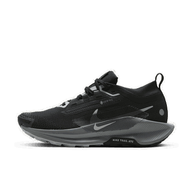 Superge in čevlji Nike Pegasus Trail 5 GORE-TEX Črna | FQ0912-001, 3