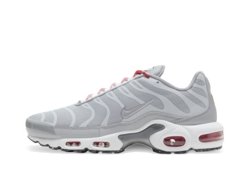 Superge in čevlji Nike Air Max Plus Siva | DD7112-001