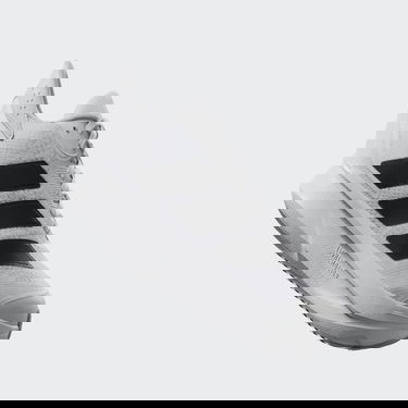 Superge in čevlji adidas Performance Duramo SL 2 Bela | IH8223, 2