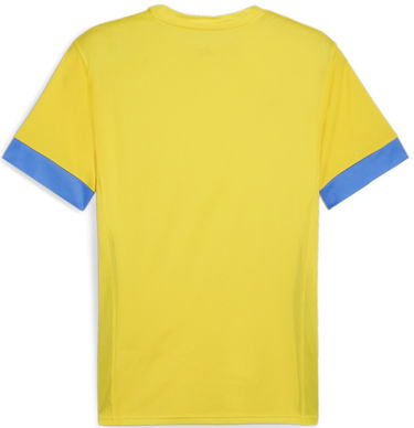 Dres Puma teamGOAL Matchday Jersey Rumena | 705747-17, 1