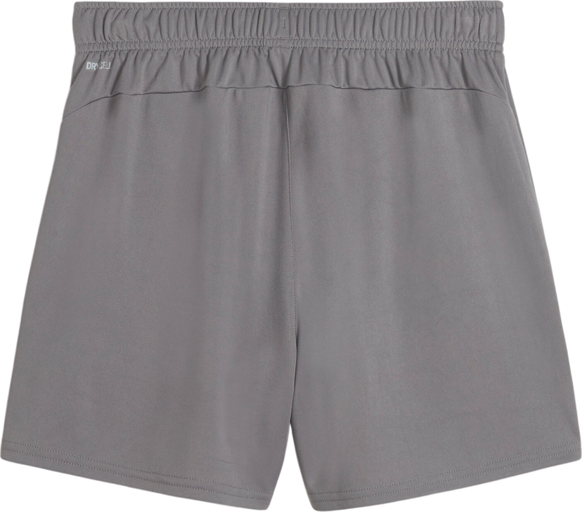 Kratke hlače Puma Puma teamGOAL Handball Shorts Siva | 706019-13