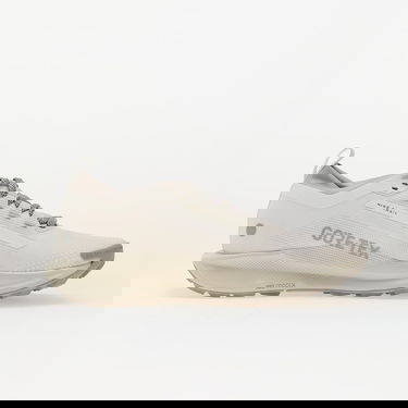 Superge in čevlji Nike Pegasus Trail 5 Gore-Tex Bež | HQ7494-100, 2