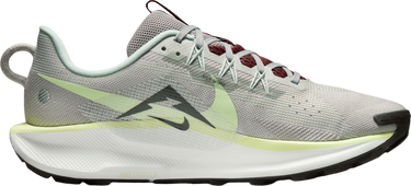 Superge in čevlji Nike Pegasus Trail 5 Zelena | dv3864-004, 3