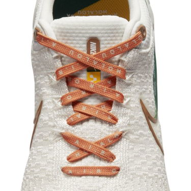 Superge in čevlji Nike Infinity Run 3 A.I.R. x Hola Lou Bež | DO9496-001, 3