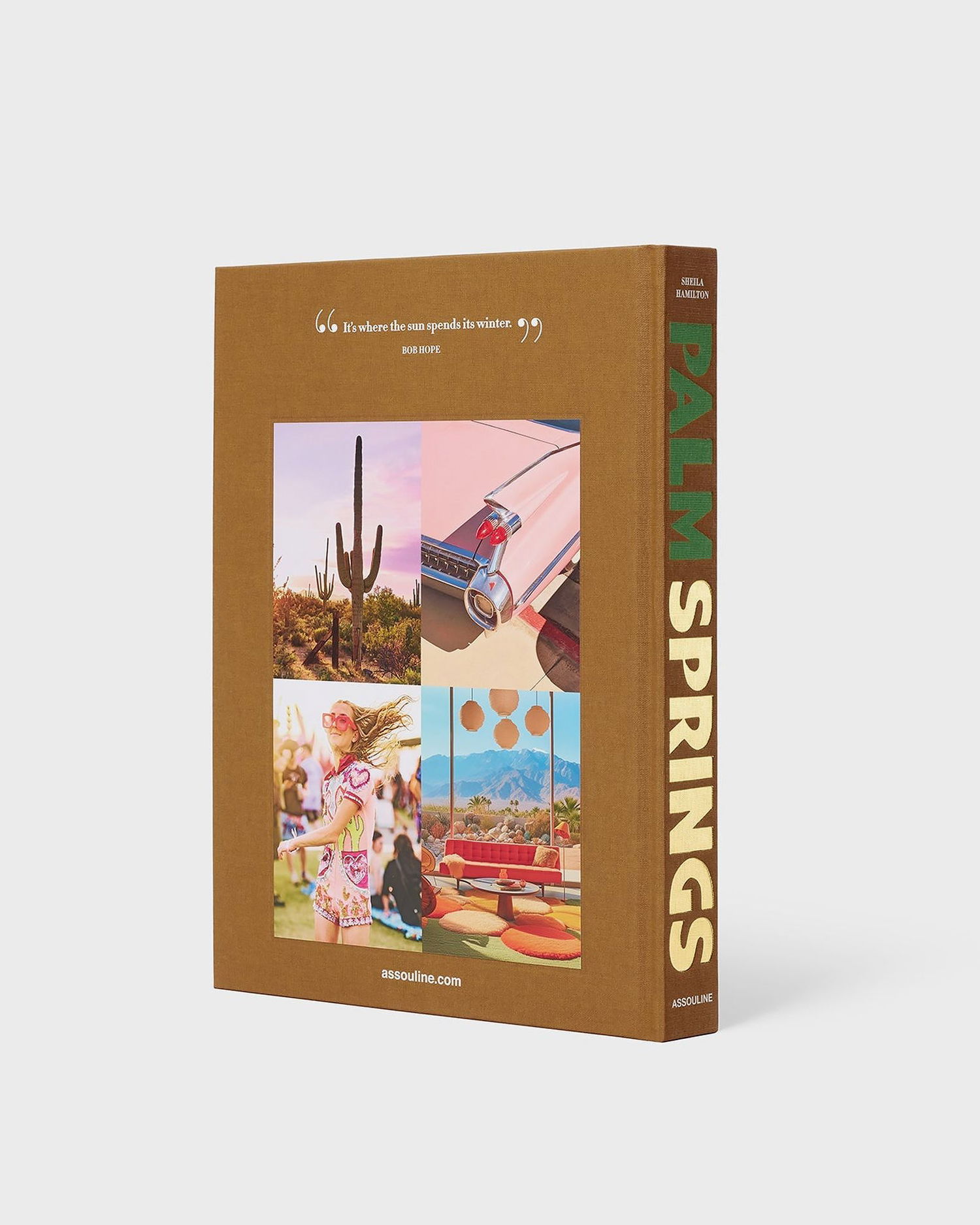 Knjige in revije ASSOULINE Palm Springs Travel Book Večbarvna | 9781649803511, 1