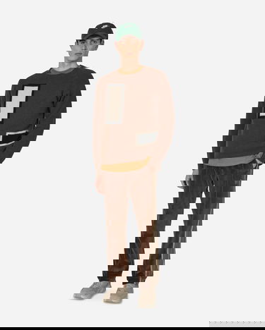 Pleteni pulover Levi's Raglan Sweater Rjava | A2981 0000, 4